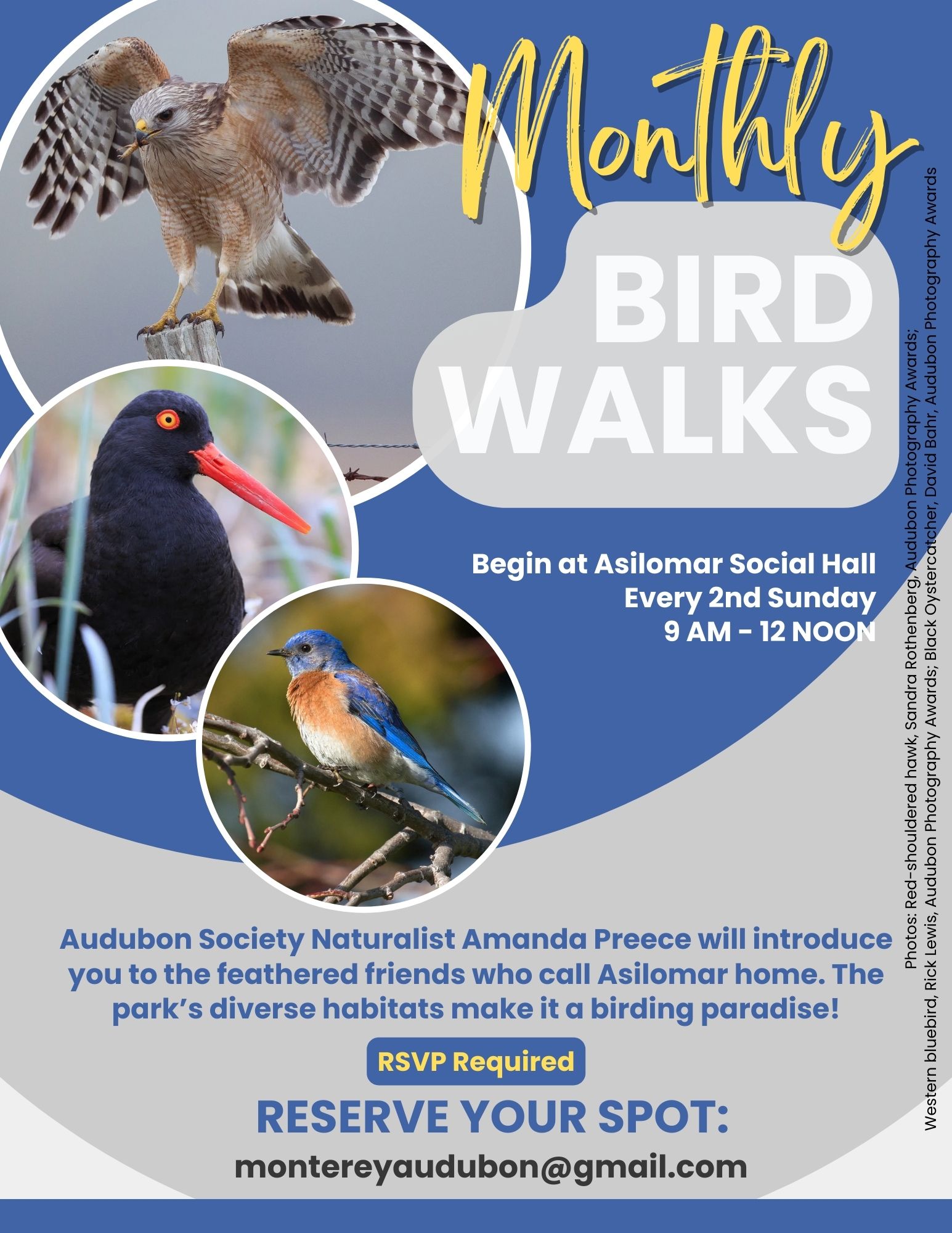 A flyer advertising monthly bird tours!